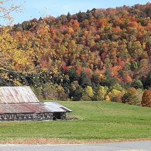 Meet your Posher, Sandy